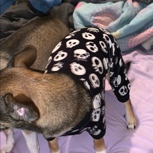 it’s a cute dog out fit